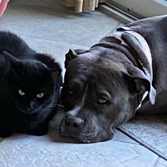 3DeeCloset - Picture 9 of 9